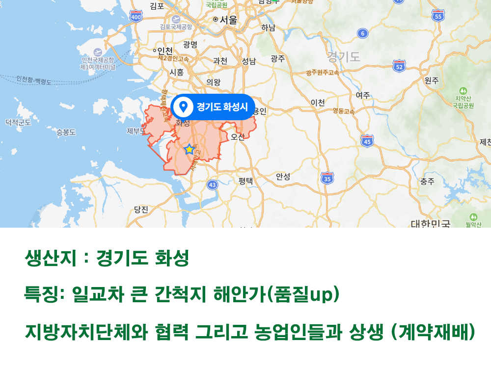 햇쌀가게 수향미 백진주 찰진쌀 여리향 경기미 햅쌀 선물 추천