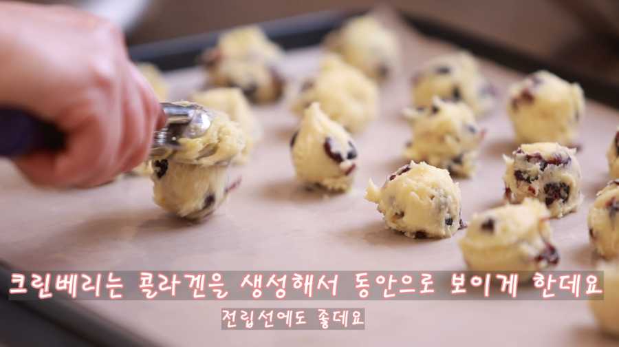 크랜베리 : 안토시아닌 / 동안 항산화